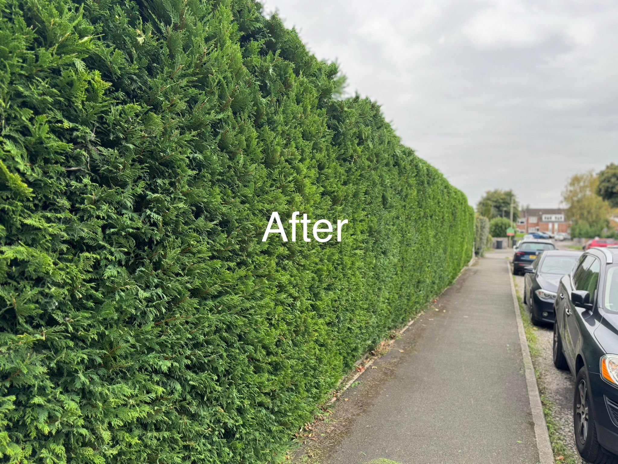 S after by Advanced Landscapes