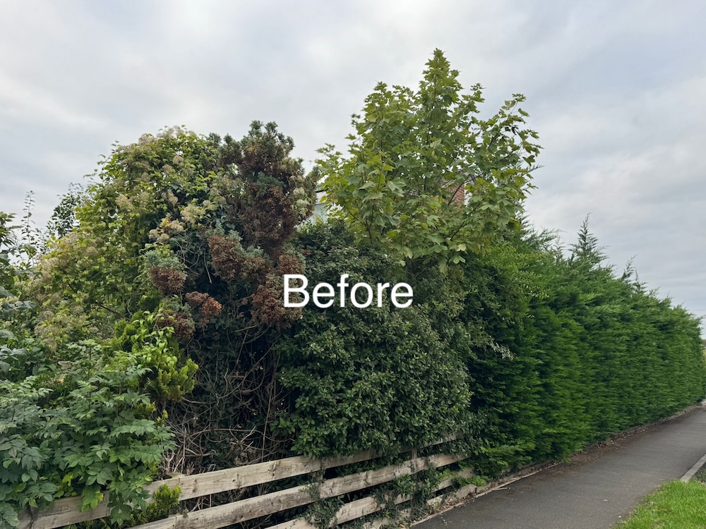 S before by Advanced Landscapes