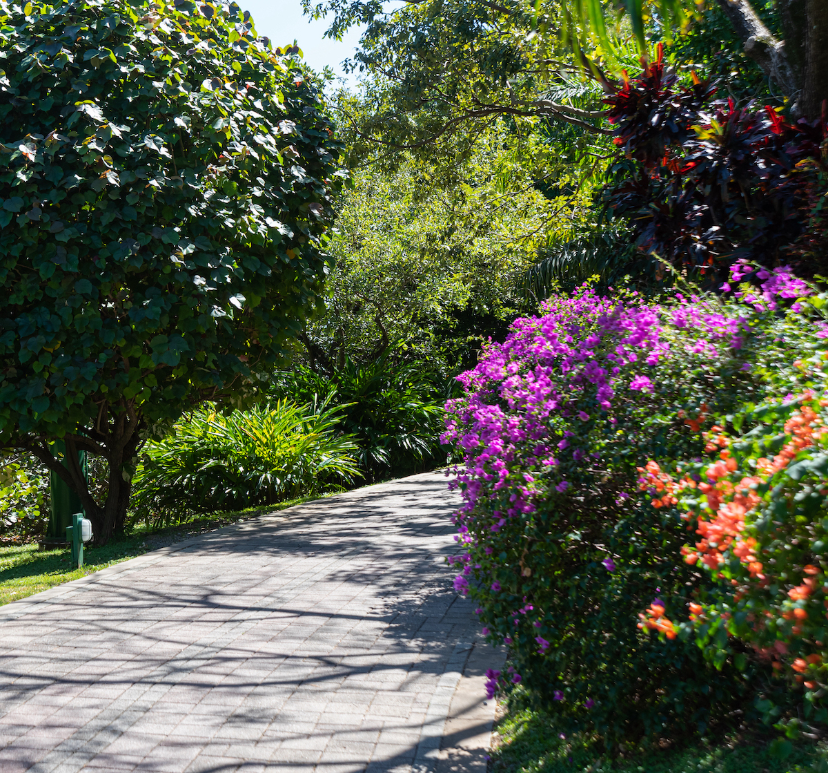 Garden landscaping in Basingstoke (4) Expert garden landscaping services in Basingstoke from Advanced Landscapes